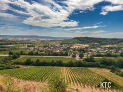 2025-07-05 Heuchelbergtrail - IMG_3549